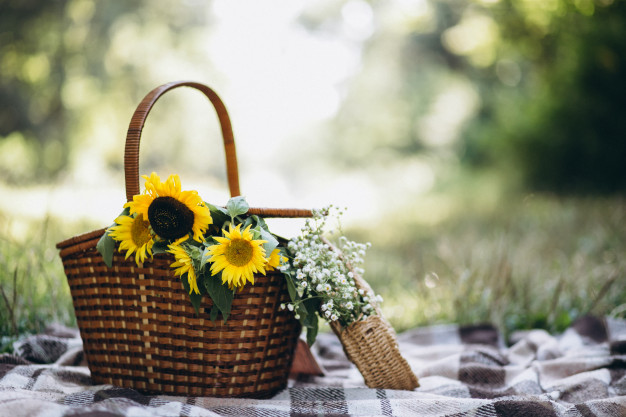 picnic-basket-with-fruit-flowers-blanket_1303-10665